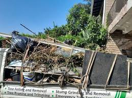 Best Furniture Removal  in Ely, NV